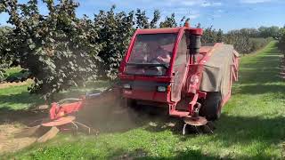 Hazelnut harvest with X16 by AMB ROUSSET [upl. by Arriec975]