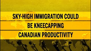 Skyhigh immigration could be kneecapping Canadian productivity [upl. by Adnema]