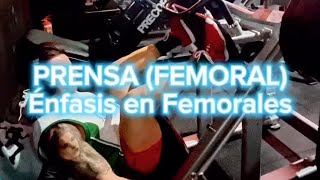 PRENSA FEMORAL [upl. by Kihtrak]