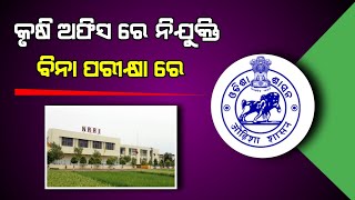 Odisha Agriculture Department Office Recruitment 2024  Odisha Job UpdatesOdisha Government Jobs [upl. by Melly535]