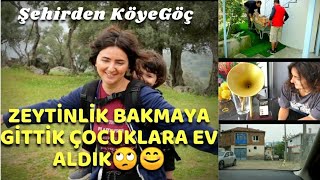 Zeytinlik Bakmaya Gidelim Dedik Çocuklara Köy Evi Aldık 😊🏡 Bahçedeki Molozları Temizliyoruz [upl. by Ayidan]