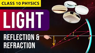 Light  Reflection amp Refraction FULL CHAPTER in Animation  NCERT Science  CBSE Class 10 Chapter 1 [upl. by Turoff356]