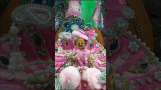 Krishan ko jo pana chahe rato radhe radhe shortsfeed shorts trending viral laddugopal [upl. by Alwitt]