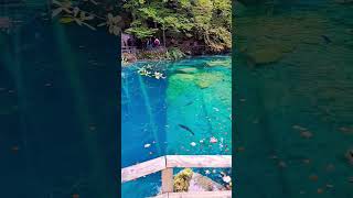 blausee bluesea switzerland mountains [upl. by Hultin]