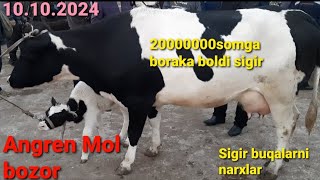 angren Mol bozori sigir buqalarni narxlar bilan tanishing 10102024 horse rek molboqishbiznesi [upl. by Marilin758]