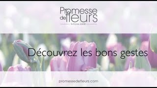 Promesse de fleurs  Vidéos conseil jardinage pour planter et soigner les plantes du jardin [upl. by Alleyn866]