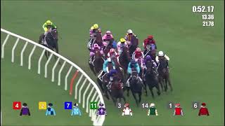 HK Horse Racing at Shatin  Race 8  09112024 [upl. by Slosberg]