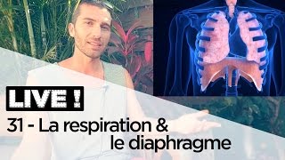 LA RESPIRATION ET LE DIAPHRAGME EXPLIQUÉS EN 10 MINUTES [upl. by Jolyn]