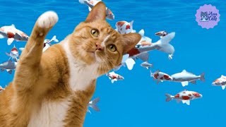 Jogo para Gatos  Pegar o peixe 🐟 Vídeo para Gatos [upl. by Laise186]