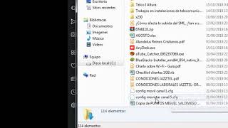 Ovislink Configuracion Backup y Restore [upl. by Aloysia]