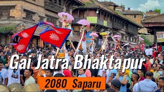 Bhaktapur Gai Jatra 2080  Saparu and Ghintakisi  The Real Celebrations is here [upl. by Notse899]