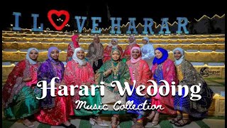 Abulu New Harari Wedding Music  Ethiopian Harari Wedding Music Aruz faqar Audio 3 [upl. by Martina206]