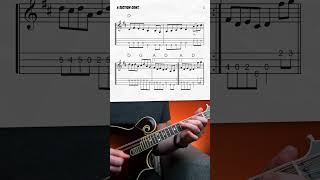 quotArkansas Travelerquot Mandolin Lesson shorts [upl. by Dewey287]