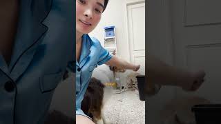 Dog Whod Never Been Touched By Humans Starts To Trust Foster Mom  The Dodo [upl. by Britton831]