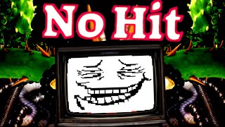 Undertale  No Hit Flowey 2 Segments [upl. by Wylde]