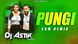 Agent Vinod  Pungi Edm Remix Dj Astik Sarbari [upl. by Strauss]