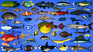 48 Sea Animals Basking Shark Pufferfish Orca Humpback Whale Angler Fish Sea Dragon Etc MN070 [upl. by Emalee]