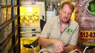 Pet Snakes  How to Care for Injured Garden Snakes [upl. by Ahsinev]