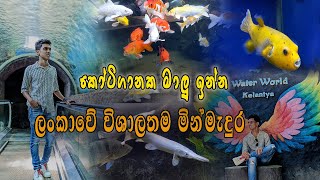 රු1100 ට ලංකාවේ විශාලතම මින්මැදුරට  Water World part 01  The Biggest Aquarium in Sri Lanka [upl. by Gaeta]