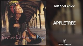 Erykah Badu  Appletree 432Hz [upl. by Gusty849]