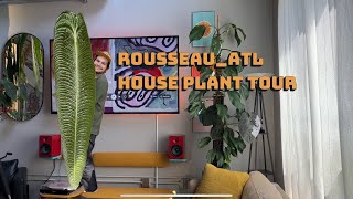 Rousseauatl House Plant Tour [upl. by Enedan220]