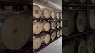 Visita a Bodegas Baigorri en Rioja Alavesa [upl. by Mahoney]