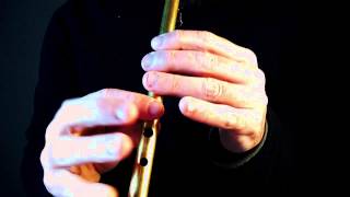 Sixpenny Money Jig  Part 1 of 2  Tin Whistle Tutorial [upl. by Major]