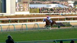 2008年第53回有馬記念（G１）レース映像＆表彰式でのダイワスカーレット号 [upl. by Stanway]