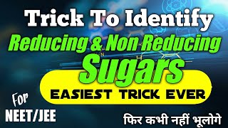 Trick To Learn Reducing And Non Reducing Sugars  Biomolecules neet  Chemistry Tricks mdcat [upl. by Eelnayr]