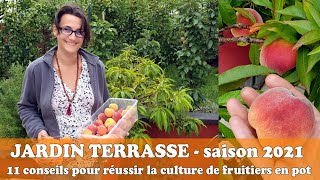 CULTIVER des FRUITIERS EN POT  11 astuces à savoir [upl. by Adnael]