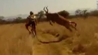 Survival of the fittest Antelope vs Cyclist edition [upl. by Airyt]