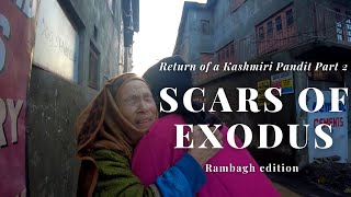 The Kashmir Files  Scars of Exodus  Return of a Kashmiri Pandit Part2  Rambagh Srinagar [upl. by Anoli]