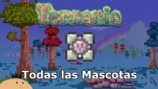 Terraria 134 Todas las Mascotas y Mascotas luminosas del Juego [upl. by Milty]