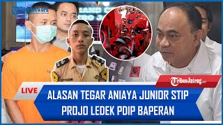 🔴 Alasan Tegar Aniaya Junior STIP Projo Ledek PDIP Baperan Mahalini amp Rizky Febian Jalani Mepamit [upl. by Tomkiel]