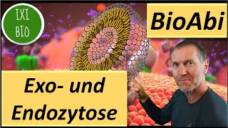 15 Punkte im Abi ExozytoseEndocytose  Transport über Vesikel  Operatoren BewertenBeurteilen [upl. by Owades]