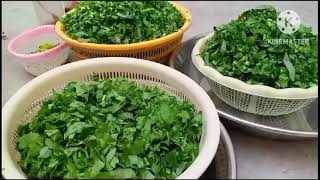 Traditional Saag Recipe  Punjabi Saag Recipe  South punjab Famous [upl. by Bobbi136]