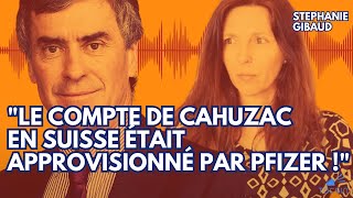 Et sil y avait dautres Cahuzac dans les candidats aux législatives   Stéphanie Gibaud [upl. by Uba]