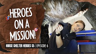 Horse Shelter Heroes S5E6  Heroes on a Mission [upl. by Neom]