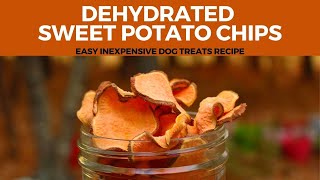 Dehydrated Sweet Potato Chips  Easy Inexpensive Dog Treats Recipe [upl. by Teevens]