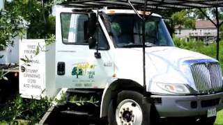 Bay St Louis Live Oak Tree Canopy Raising [upl. by Chiquita]