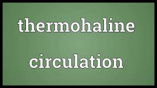 Thermohaline circulation Meaning [upl. by Anglim]