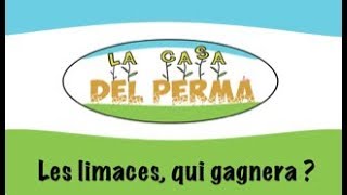 Les limaces qui gagnera [upl. by Stead]