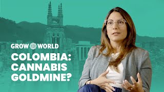 Colombia Cannabis Goldmine [upl. by Shari]