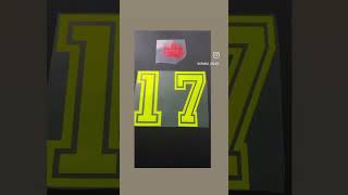 Sportflex Ironon basketball jersey ontario cricut [upl. by Kegan668]