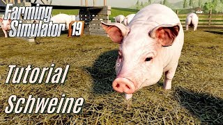 LS19 Schweine Tutorial  für Einsteiger [upl. by Keating]