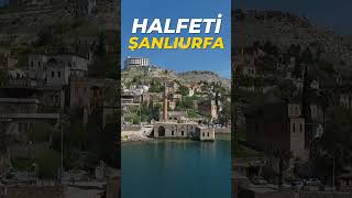 HALFETİ  ŞANLIURFA [upl. by Ivette]