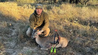 Doe hunt with the big stick gremlin longbow [upl. by Alysoun202]