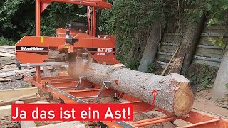 Riesiger Ast einer Zeder auf dem Sägewerk [upl. by Hsenid]