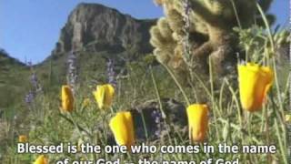 quotSanctusquot  Christian praise and worship song amp video by Shawn Thomas [upl. by Malena]