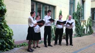 Guillaume Dufay Hymnus in quadragesima Hymn in lent [upl. by Nalak]